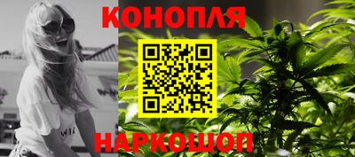 стаф Пенза