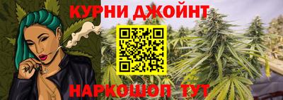 стаф Пенза