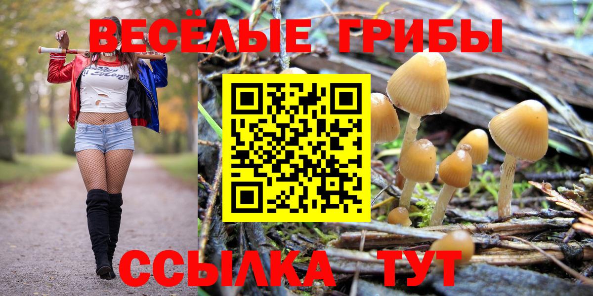 Псилоцибиновые грибы MAGIC MUSHROOMS  Вход с VPN  Трёхгорный 